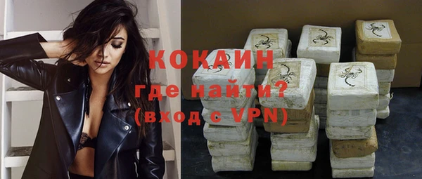 стаф Осинники