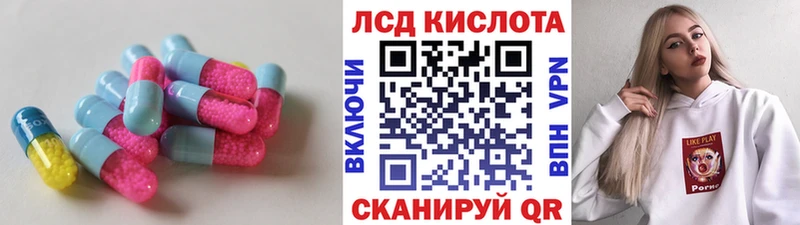 как найти   Ивангород  ЛСД экстази ecstasy 