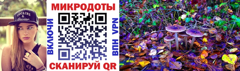 где найти   Ивангород  Псилоцибиновые грибы ЛСД 